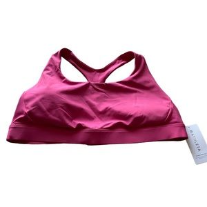 NWT Athleta Pink Ultimate Bra Size 3X